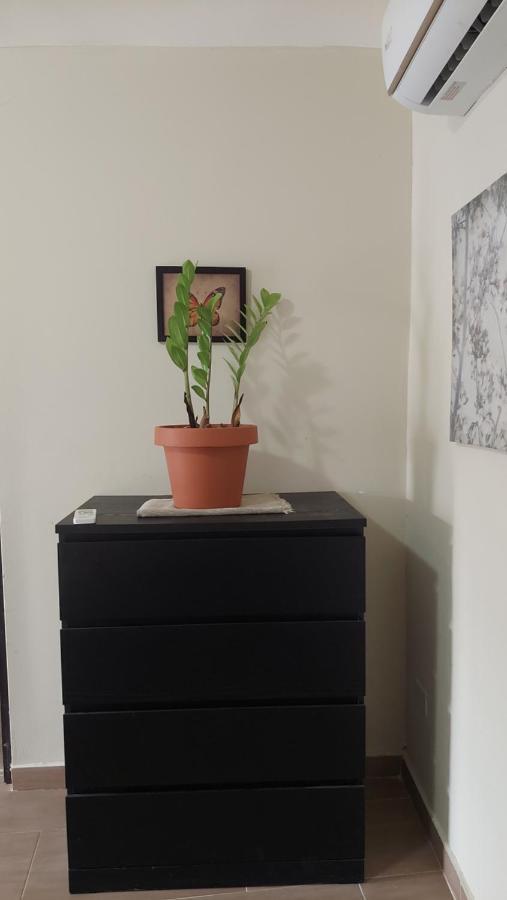 Casa Kamanda, Zona Colonial, Santo Domingo Apartman Kültér fotó